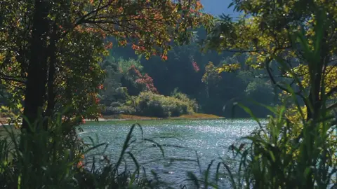tempat seindah ini ada di jawa tengah, ada yg tau dimana?  #fy #foryoupage #cinematography #cinematic 