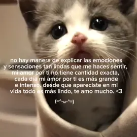 te amo demasiado, mi amor bonito. 😿💗⭐🌷, estoy muy feliz de tenerte, quiero que lo nuestro duré para siempre. 😿💘, #mybf #iluvmybf #fypシ #fyp #parati 