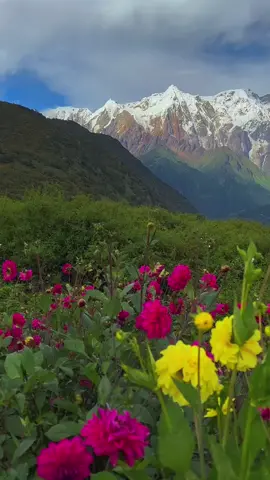 No copywriting only beautiful scenery#nature #scenery #beautifull #beauty #foryou #fyp 