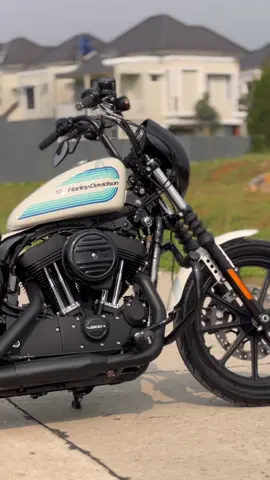 Sportster iron 1200 2019 #sportster #harleydavidson #sportsteriron1200 #jualharleydavidson #fyp #fypシ #fypシ゚viral 