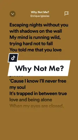 Why not me?!🎶 #enriqueiglesias #whynotme #ruelyrics #spotify #songlyrics #viralllllll #fypシ #fypシ゚viral #tiktok 