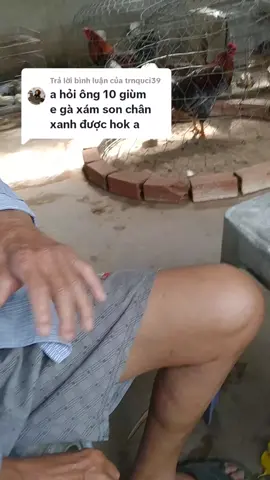 Trả lời @trnquci39 xam xon chân xanh là tốt rồi a,, những ae mà mình chưa tl ae được, ae thông cảm cho mình nha,c,on ae nhiều 