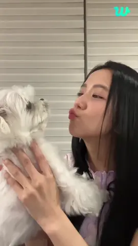 230808 | #JISOO LIVE ON WEVERSE thank you jisoo for everything, we love you so much 🤍 FOREVER WITH JISOO #7YearsWithBLACKPINK #FOUReverWithBlackpink #일곱살_블랙핑크_일평생_함께할게