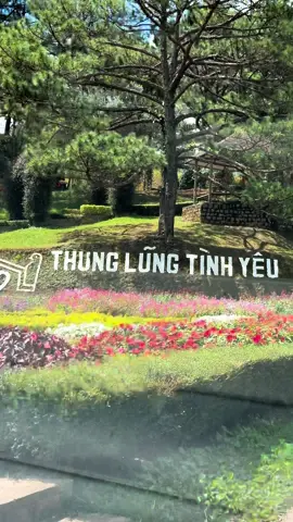 @Đỗ Anh Tài Thung lũng tình yêu Đà Lạt #xuhuong #amnhac #amnhacvacamxuc #dulich #dalat #thunglungtinhyeu 