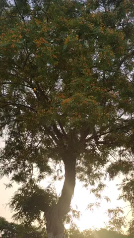 لمستك نسيت الحياه وانت اللي بحلم اعيش يوم معا💕