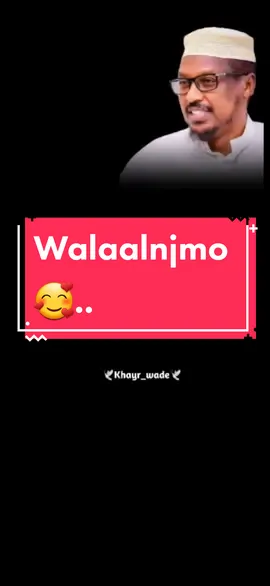 Walaalnimo🥰...#sheekhmustafe #khayr_wade #foryourepage #foryou 