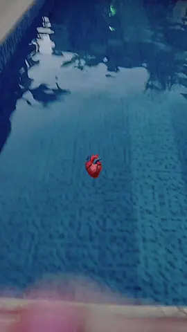 #رايق #ايه_اليوم_الحلو_دة #الشعب_الصيني_ماله_حل😂😂 #صباح_الرواق #تصميم_فيديوهات🎶🎤🎬 #مسابح #دركوش #اهل_الشام #الشعب_الصيني_ماله_حل😂😂 #رواقي_جوي_تصويري_تصميمي👌🏻🌸 #مقاطع_ضحك #طلعات_حالات_وتس #طلعاتي_وتصويري🦋 #رواق #يوم_جديد_وفلوڤ_جديد 