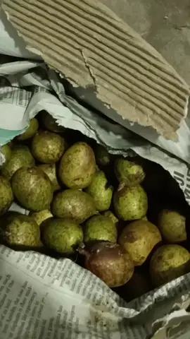 #buahkristal all the way from Bau. Dipetik dgn penuh kasih sayang my mum.... (ya...i miss mum & my family in Sarawak 😊) rasa nya ni first time cuba. rasa dia mcm buah mata kucing. @ longan.  selalu time balik bukan musim di berbuah. sedappp ... 