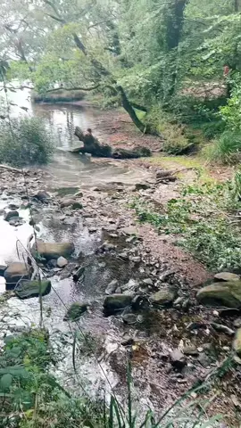 Ya pas mieux que la nature