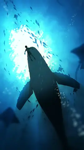 Set as Wallpaper #anime #ocean #wallpaper 