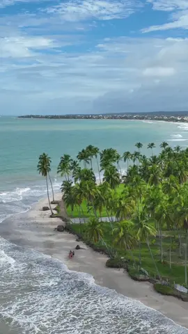 🏝️ #carneiros #praiadoscarneiros #praia #drone #drones #dji #brasil #djiglobal #djibrasil #dronefly #dronelover #dronenature #mar #sea #ocean #oceano #nordeste #pernambuco #praia #beach #carneiro #brasilnaturezalegal #fpyツ #coqueiro #dronevideo #dronevideos 