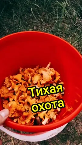 Бахни ❤️, дай актива☺️ #несладкий #рек #топ 