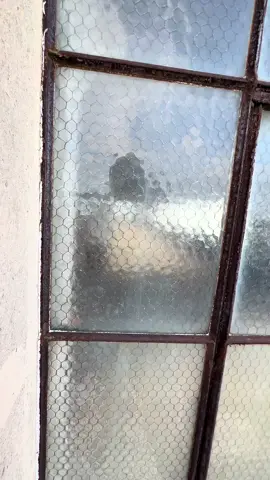 #asmrsounds #glass #breakingglass #glassbreaking #broken #window #old #window #construction #trades #tradesman #work #satisfying #glazing #tearout #trash #break #demo #hit #boom 