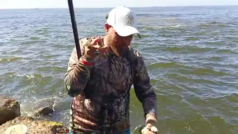 #المغرب🇲🇦تونس🇹🇳الجزائر🇩🇿 #Alexandria #صيد #احمد #احمد 