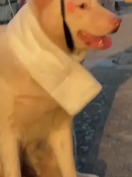 😜😜😜#xuhuong #xuhuongtiktok