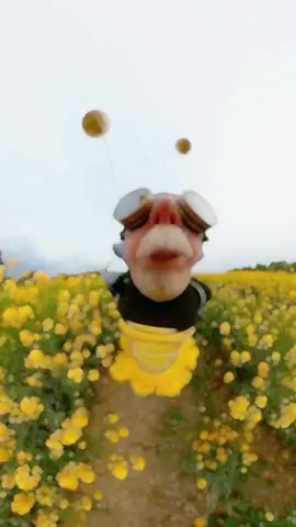 Bee grandpa #foryou #funny #fyp 