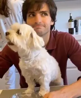 Another one of Carlos and Oli 😍😍🐶❤️ this time Oli “singing” with Carlos to the sound of the piano #carlossainz #oli #singasong #dogloverforever 