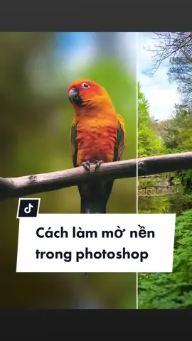 Cách làm mờ nền trong photoshop /cre: recdope  #photoshop #photoshoptutorial #kqdesigner #kqfreelancer