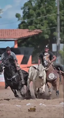 A pressão é constantee, isso é vaquejada correr boi é importante🎶❤️ 🎥: @Jeb  #cavalo #vaquejada #statuswhatsapp #vaqueiro #viral 