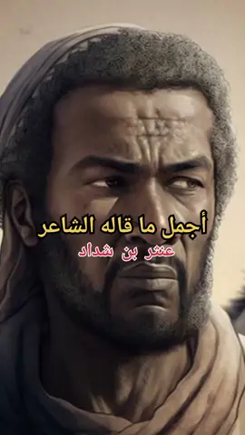 الشاعر عنتر بن شداد #explore #اكسبلور #اقتباسات #الشعر_العربي 