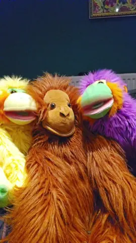 Introducing Barry's new backing singers, Karen & Sharon 🎤 @Life according to Barry  #puppet #puppetsoftiktok #BarryandGary #song #singing #winky #bottom #poo #funny