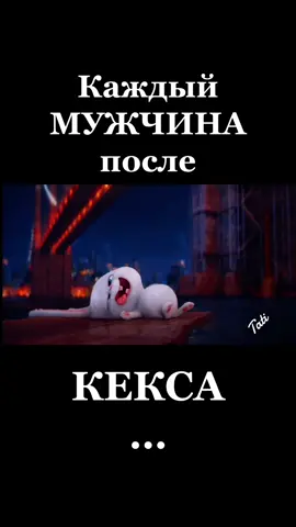 #capcut #омужчинах #мужчинытакиемужчины #сюморомпожизни #женщиныпоймут #смешнодослёз 
