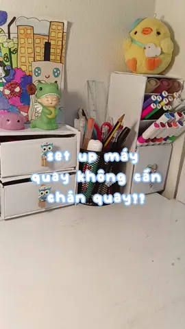 hai ba con vịt 🐋❄️ #LearnOnTikTok #tips #newbietiktok  #setupcamera #Vlog #weiise #xhtiktok #chill #meo #quayvlog 