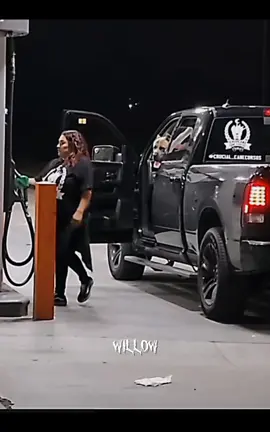 || −, Cane corso protection 🔥 || cr: (idk, srry) || Ib: @Animals edits🐾 || #canecorso#dog#protection#fyp#viral#edit#willowanimaledits 