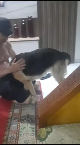في ضيافة maya بمراكش