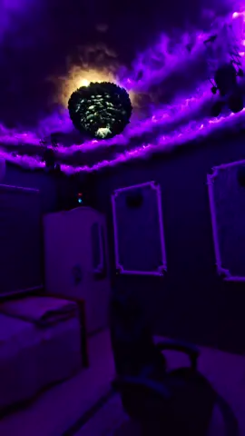 غرفتي حبيبتي اتسلم عليكم هواية ❤️   #غرفتي #بغداد #العراق #محرم 