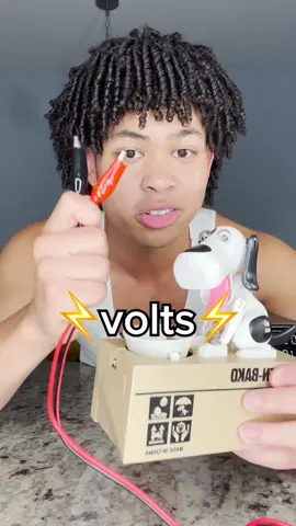 I’m surprised it lasted so long🤣 #coolproducts #toy #highvoltage #highvolt #scienceathome 