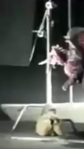 #CapCut XDD #blooper #godzillavsdestroyah #godzilla #destroyah 