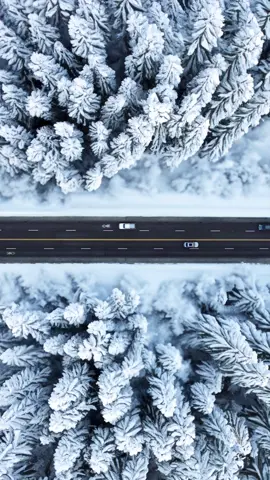 The long road 🚙  This is created from a top down drone shot and @Adobe @Photoshop beta generative fill! What do you think of this idea? #djimavicair2s #photoshopgenerativefill 