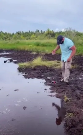 His trousers are the least of his problems🤣😭🤣 #foryou #viral #hilarious #ukpopularvideos #pond #falling #funnyasf #funny #lol