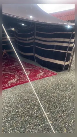 اطرد ورالصاحب اللي نادر وغالي#يحي_العامري #ذوق #بوح_المشاعر #بلادالعوامراكسبلوررfypシ 