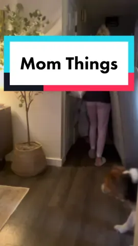 Wish us luck! 😂 #newmom #firsttimemom #newborn #parenting #motherhood #parents #baby #newtonmattress @Newton Baby 