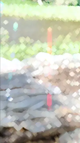 Đam mê 🎣#câucá #Fishing #caucagiaitri #cauca #dammecauca #damme 