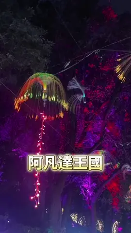 跟你們說桃園晚上有可以去的新景點！ 來到阿凡達王國超夢幻的水母步道 附近有蠻多夜景咖啡廳 大家拍完照還可以看夜景💘 蘆竹·大古山 桃園市蘆竹區大古路228號（大古山登山步道 公園） 燈飾展期：5/20-8/31 亮燈時間：18:00-22:00 #桃園#桃園景點#桃園夜景#蘆竹蘆竹景點#夜景#大古山#大古山夜景#夜景咖啡廳#燈飾#步道