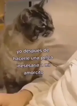 #amor #cariñoso #animalesfantasticos 