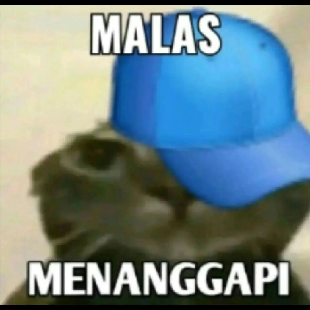 MALAS MENANGGAPI 🥱 #meme #stikerabsurd #absurd #fyp 