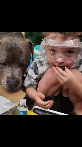 Science projects the other day! Great gift my grandson got for his bday perfect for homeschooling Science. He let Ash wear the goggles. #Science #homeschoolmama #littlescientists #experiment #learning #handson