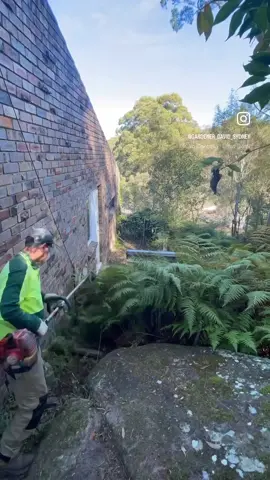 Satisfying transformation 👆For more watching please follow:@gardener_david_sydney  David’s mowing #davidsmowingsydney #satisfying #transformation #oddlysatisfying #australia #sydney #garden #gardening #messi #fyp #fypシ #beauty #landscape #business #trending #viral #lawnmaintenance #woman #homemade #homedecor #workout #barbie #garten #fashion #gym #naturelovers #pressure #iran #marvel