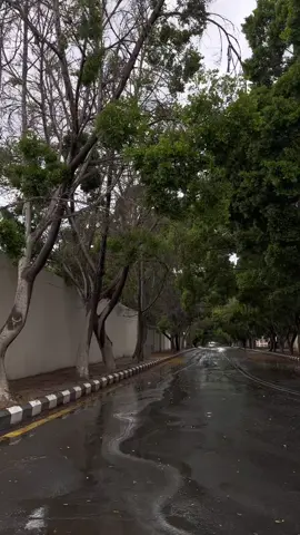 #الخالديه #الطايف #الكلية_التقنية #مطر #اكسبلورexplore #لايك__explore___ 