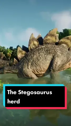 Stegosaurus herd 🦕 #stegosaurus #stegosaurusrex #jurassicworld #jurassicpark #jurassicworlddominion #jurassicworldevolution2 #jurassicworldfallenkingdom #thedinosaurs #dinosaurs #dinosaurus🦖 #herbivore #islanublar #tamandinosaurus #pulaudinosaurus 