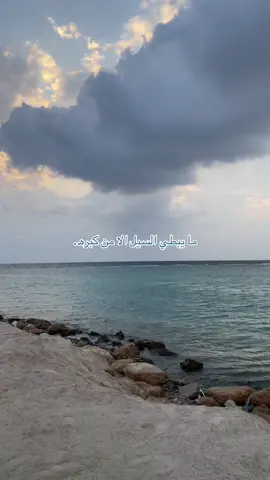 صوت الأمل فيني يقول اني بطير بلا مدى🤍 #fyp #CapCut #jeddah #ترندات_تيك_توك #حركة_إكسبلور #بحر 