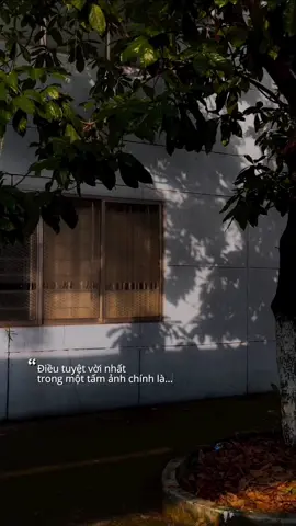thay vì xoá đi, tôi chọn lưu trữ nó lại. 