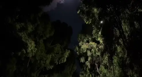 اكتب شيء تؤجر عليه🤍