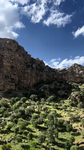 بلا بايێ زاكروسێ بێهنا ته ژمنرا بينه......⛰️
