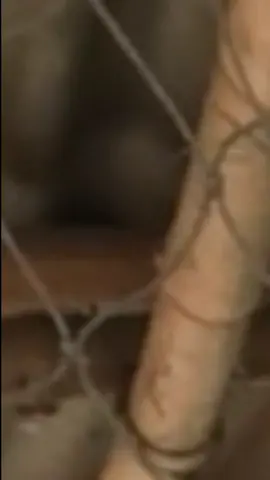 #วันรุ่นพันร้อย #พม่าตีไทย 