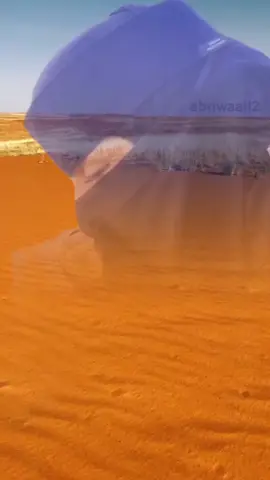 امشي وقلبي سوات القدس محتلي#المملكة_العربية_السعودية #قبائل_الجزيرة_العربية #شعروقصايد #الخليج_العربي #حائل#عرعر #الرياض